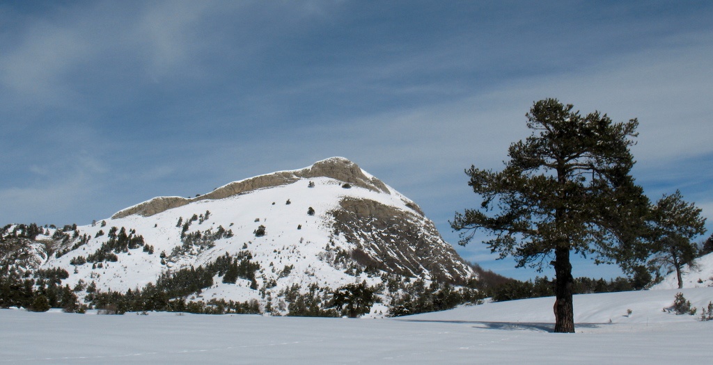 Depuis le Plan de la Cassine