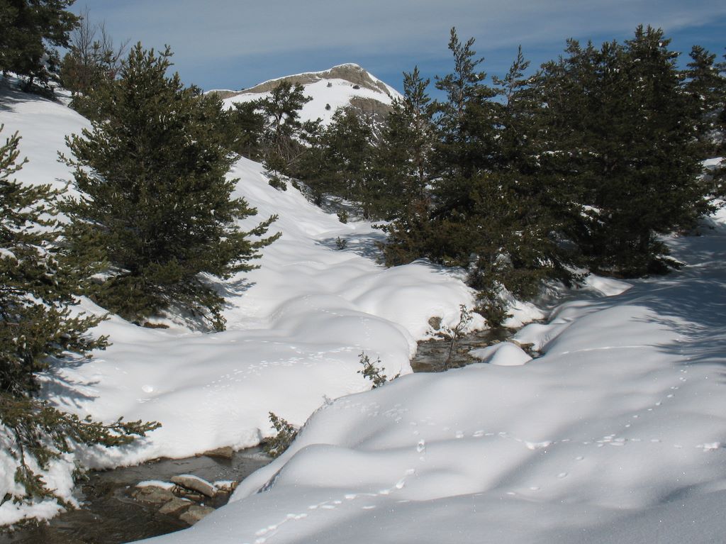 Roche Cline se dévoile