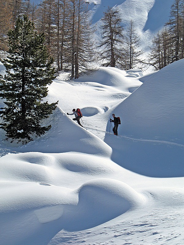 Alpavin : Arrivée sur Fond Froid à 2100 m.