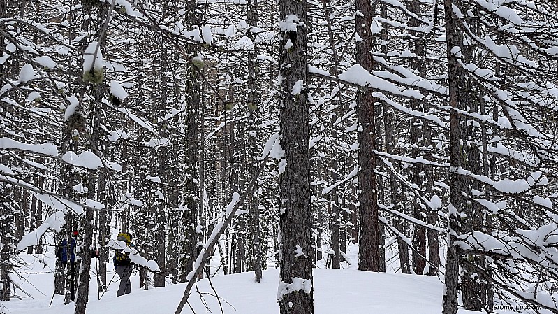 Jéremiah Johnson ! : Montée dans les bois
