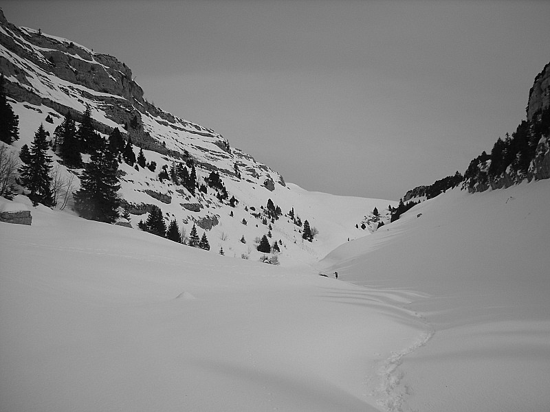 vers le col de l'Alpe : vallon très bien enneigé