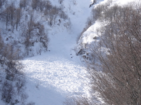 #4 chamois en traversées : coulée sous le soutier gorge (la droite du dagobert) chamois en traversées : coulée sous le soutier gorge (la droite du dagobert)