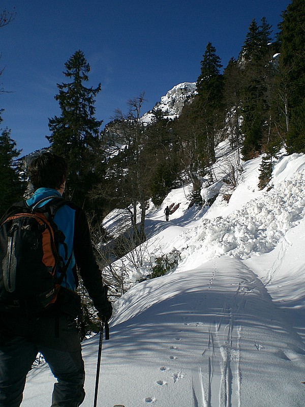 Col de l'Alpe : Coulées de lourde