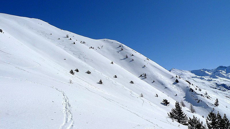 La descente du jour : traces du matin.