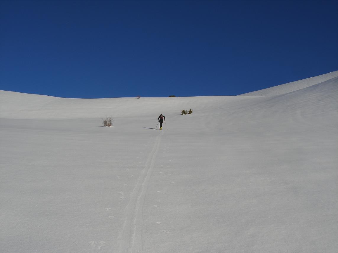 montée sud du puy : fils dans le desert