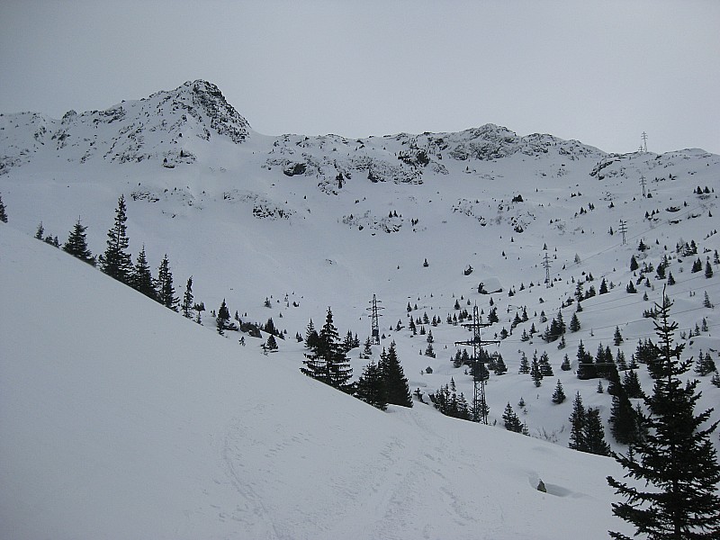 à la sortie de la forêt : a partir de là, la neige devenait franchement plus agréable