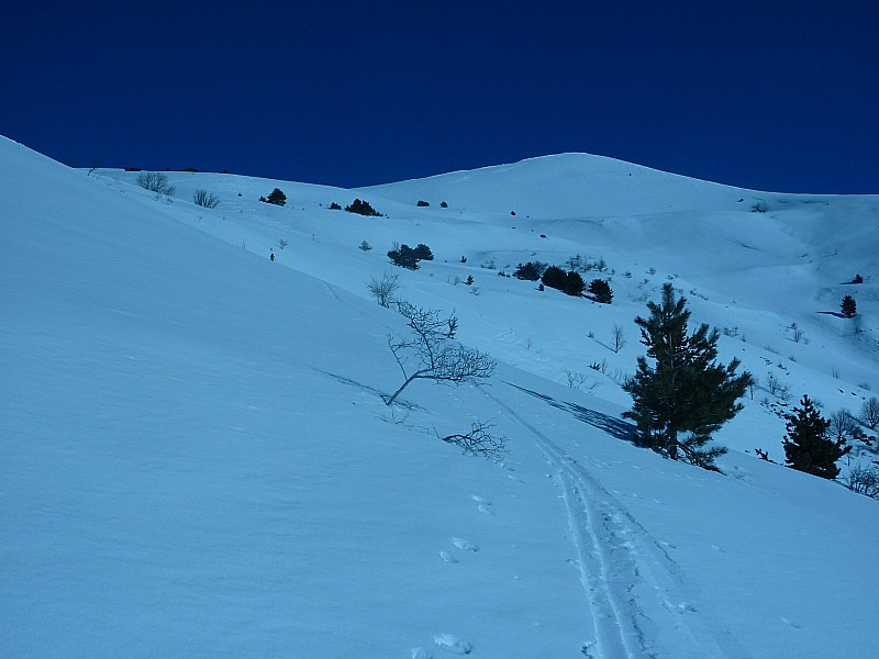le puy : bien bleu...