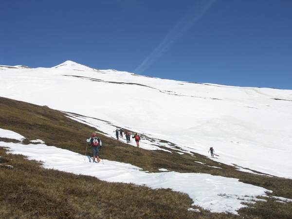 montée : ski sur herbe début fevrier!