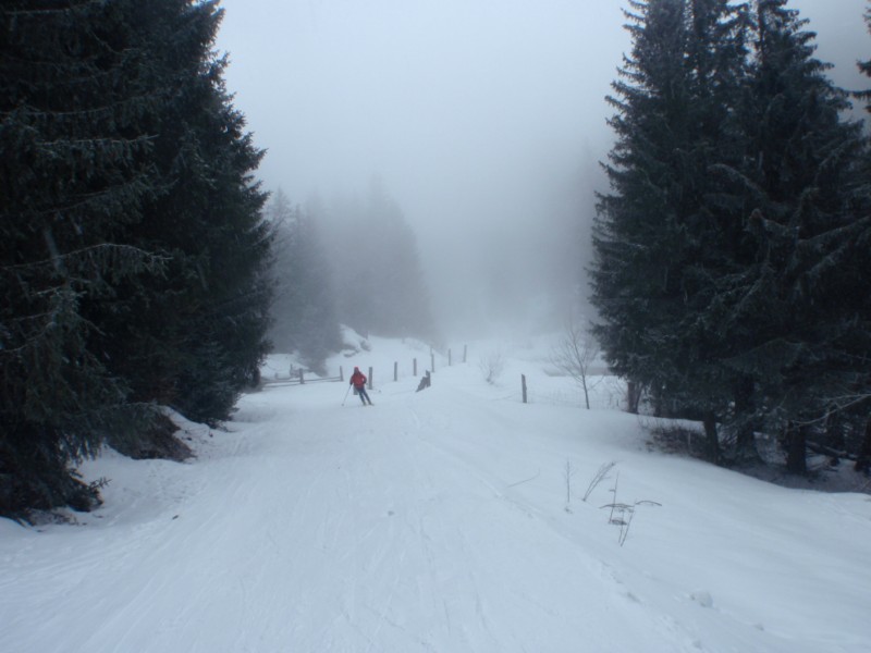 retour dans la foret : Cela redevient visible au Habert , au dessus puree de poids , et navigation moitie feeling , moitie GPS quand il a des piles !