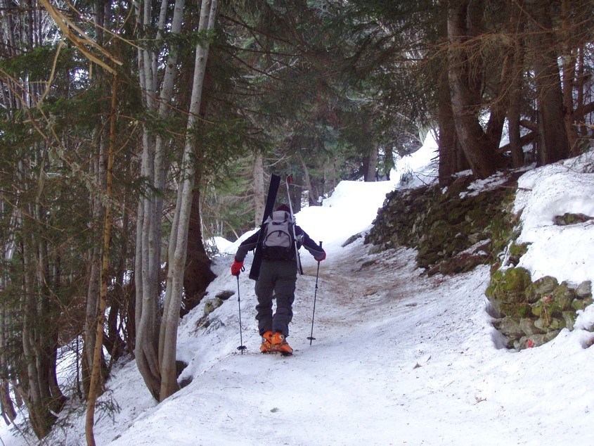 Forêt : Jean-Paul en crampons...