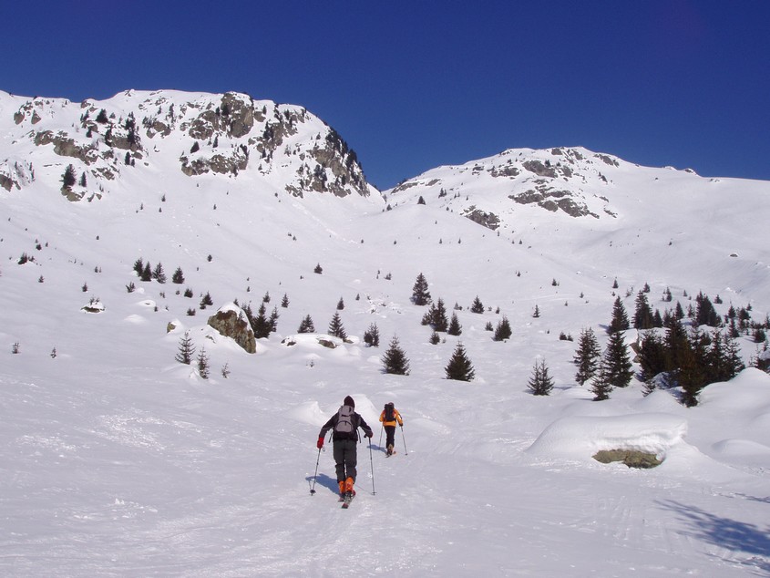 Au dessus de la forêt : On est mieux...