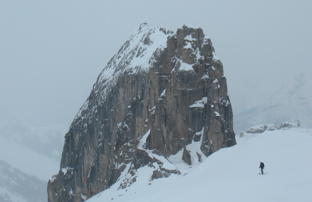 Roche Robert
