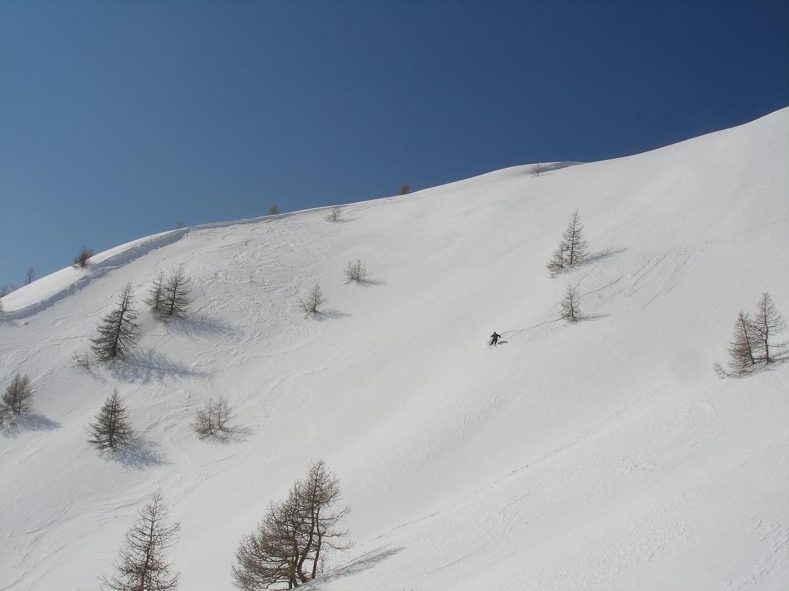 contres pentes est : un peu de poudre