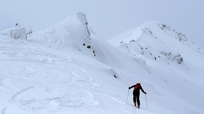 On est presque arrivés : Arrêt au début de la crête, vers 2450 m.