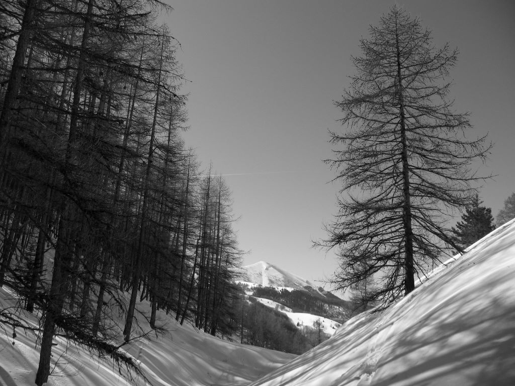 Combe du Torrent... : ...du Col de Gleize