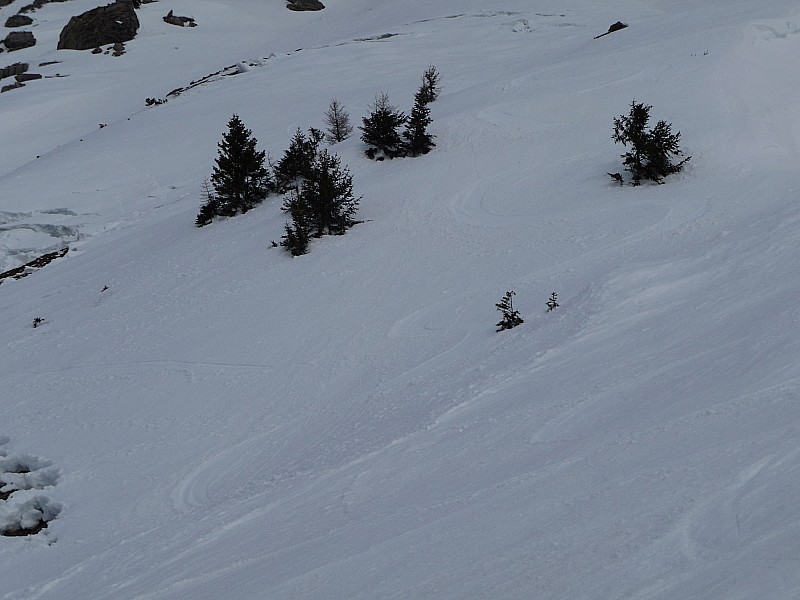 çà y'est c'est couvert ! : tiens! je reconnais ma trace de descente de dimanche!