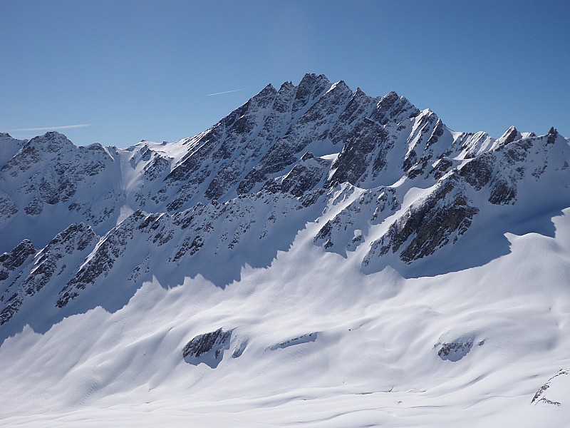 le grand golliat : couloir esthétique