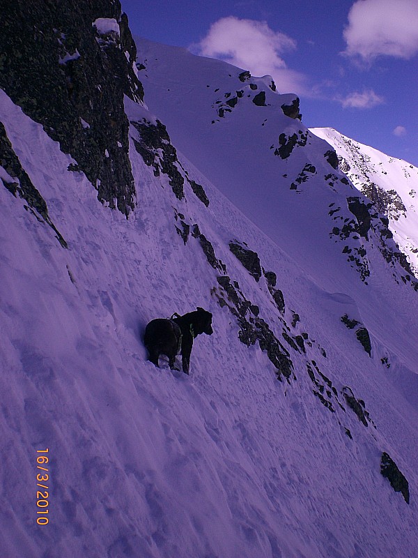 Couloir N pics du Casset : Plus bas, le passage vers la branche droite du Y