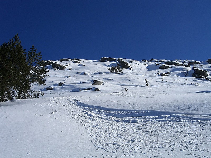 Suc de Montfol : Trace dans la pente nord