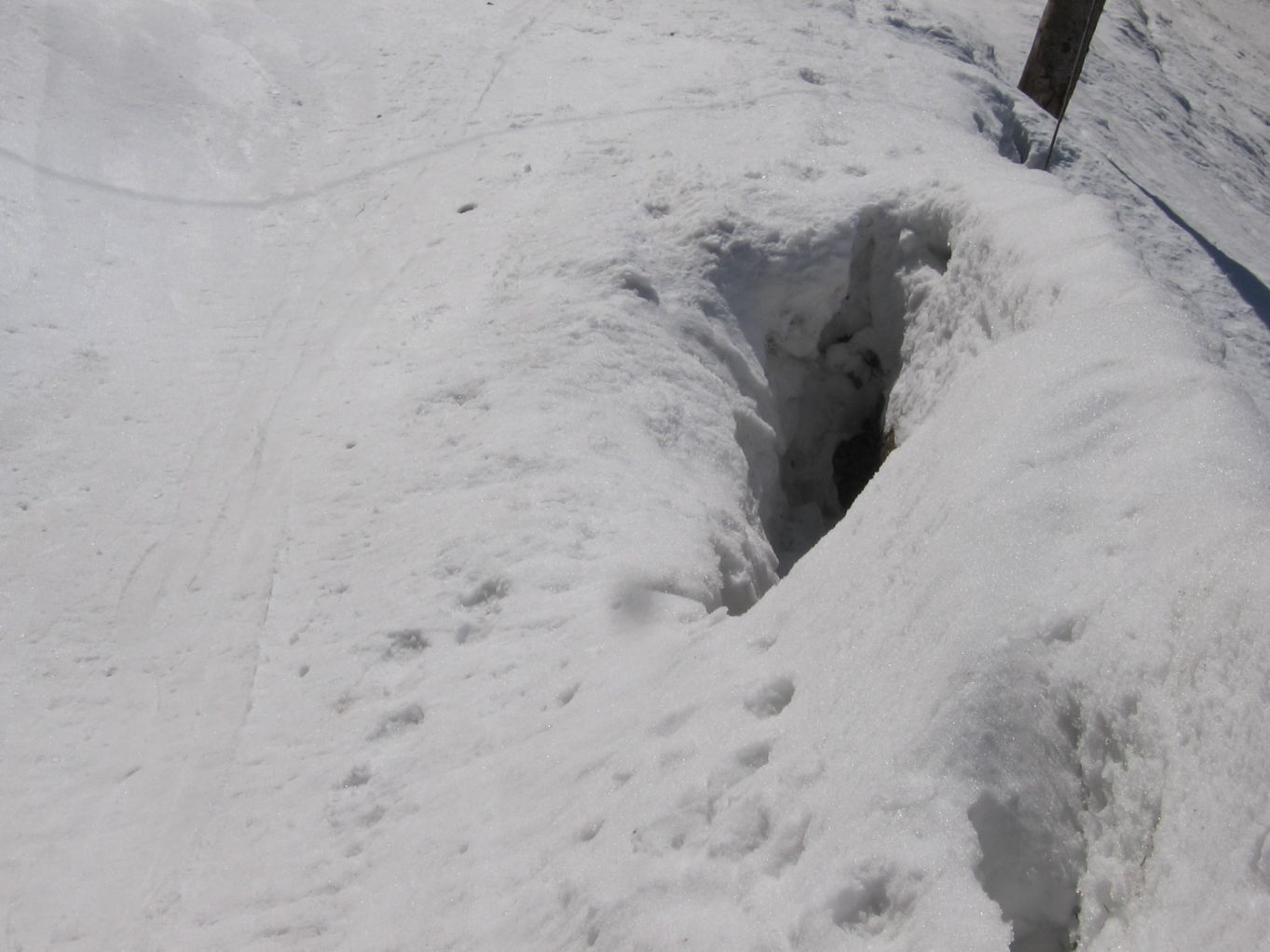glacier du petit som : Il y a même des crevasses..