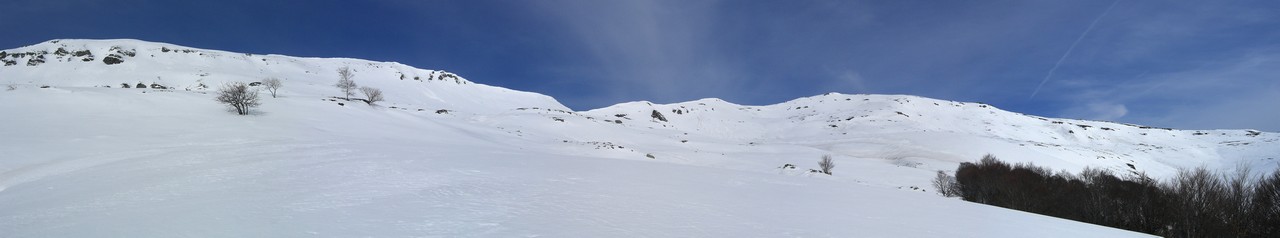Cirque de Grandval : A la limite de la forêt
