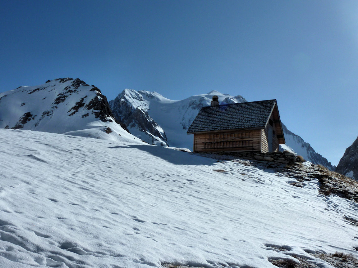 Le chalet des Gardes (2431 m) : Un renard rôde dans le secteur.