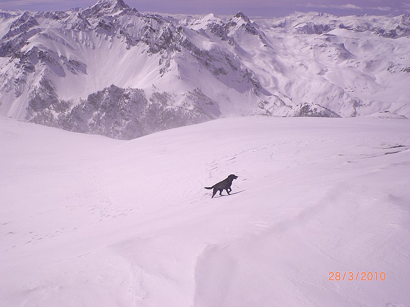Clot la Cime : vue sur le Queyras voisin.