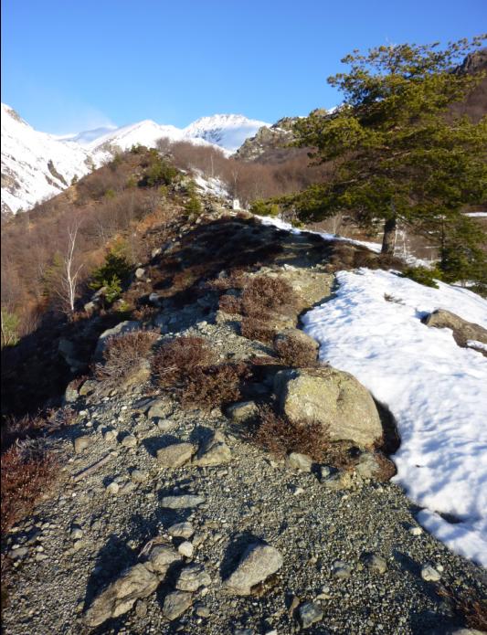 Vallon de Rocciavre : ...mais pas pour longtemps : leger fourvoyage au depart