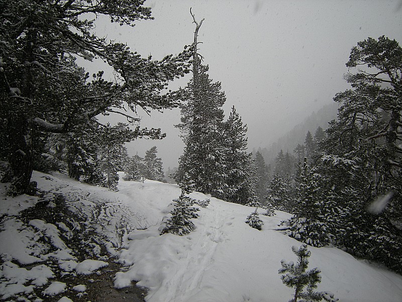 descente du vallon Marcadau