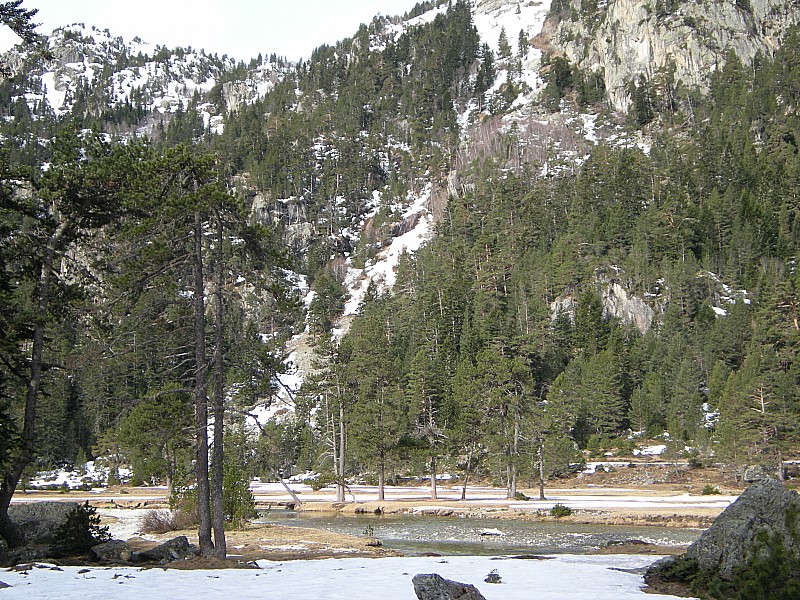 Depart des pistes de fond : Peu ,voir pas de neige...
