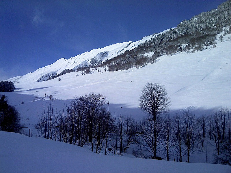 Sortie de forêt : Dent d'Arclusaz et pointe Nord de la combe à droite