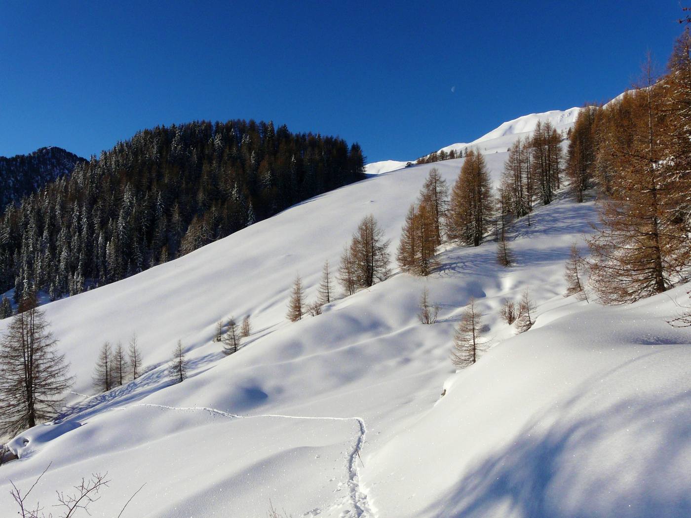 Alpage aprés le serre Langas : sa promet du bon pour la suite