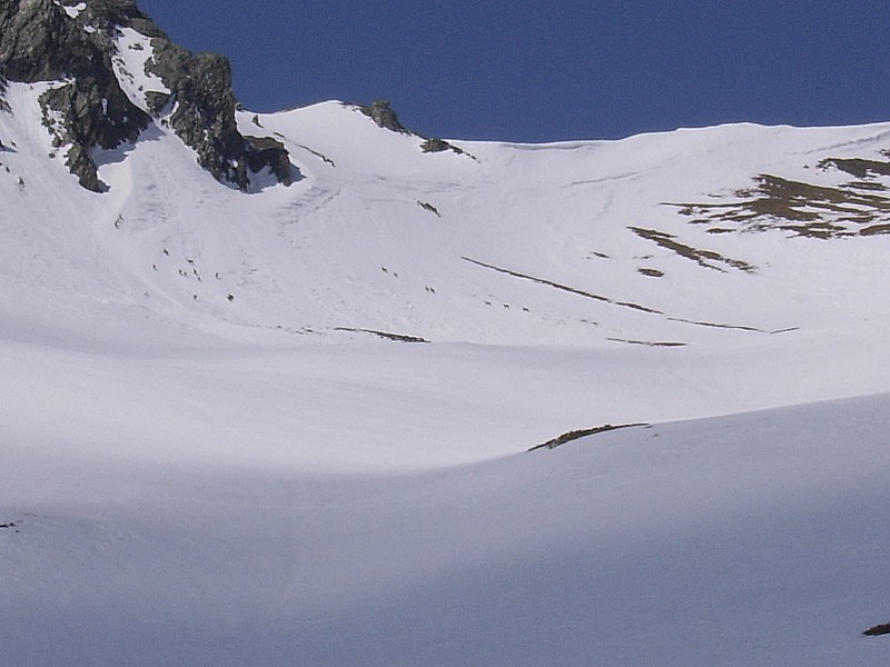 sous le col d'arplane : rassemblement de chamois