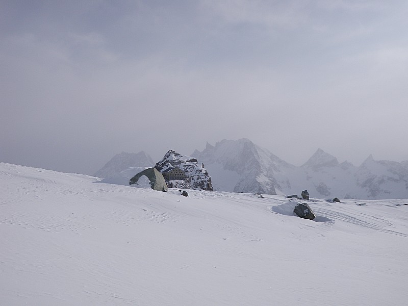 les vignettes : je n'y suis jamais rentrée..