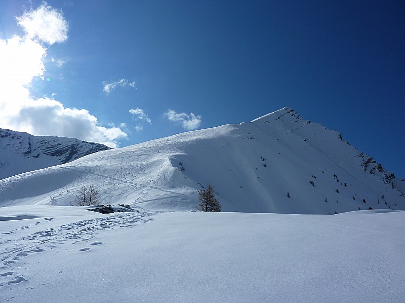 montée : vers 2300m : sommet en vue, il y a du monde