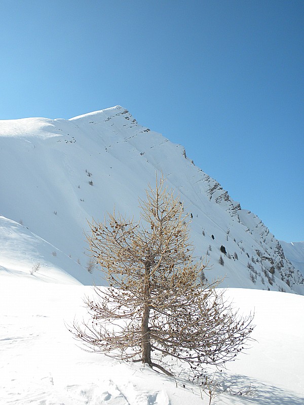 aiguille 6 : le sommet a mi chemin