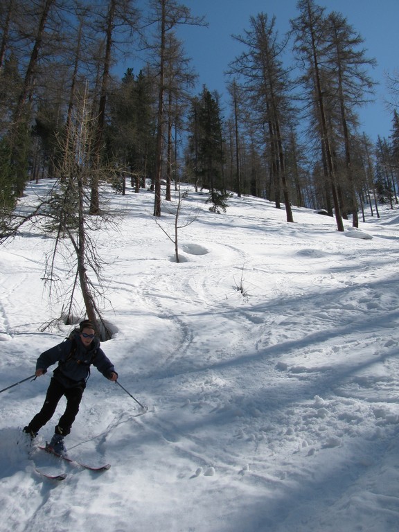 Le Bois Noir : Bien pentu, mais les mélèzes sont largement espacés.