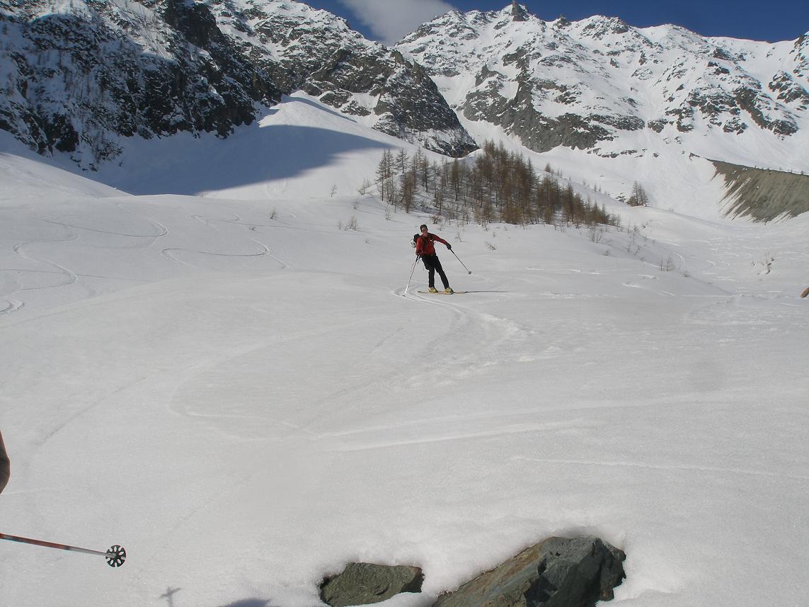 moquette***** : avant les bois un peu ravagés