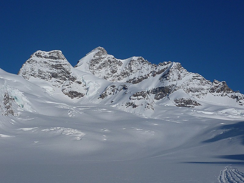 Jungfraufirm : Au centre la Jungfrau