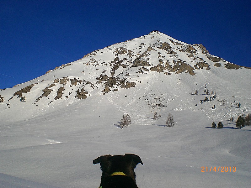 Peygu : Vue générale de la face S-SE du Grand Peygu.