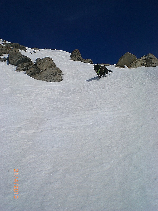 Peygu : ça part à skis du sommet.