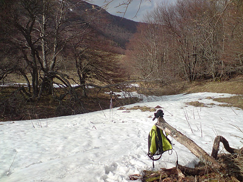 douceur du printemps : plus envie de repartir...