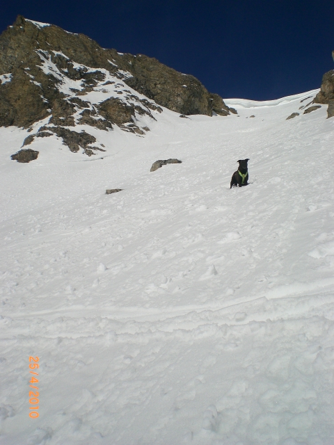 Turge : Dans le couloir Est.