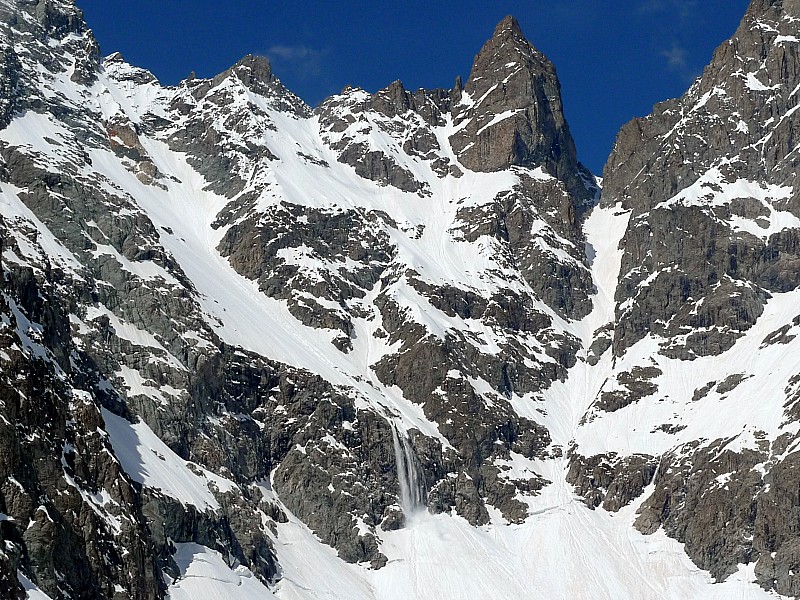Le Fifre : ça purge