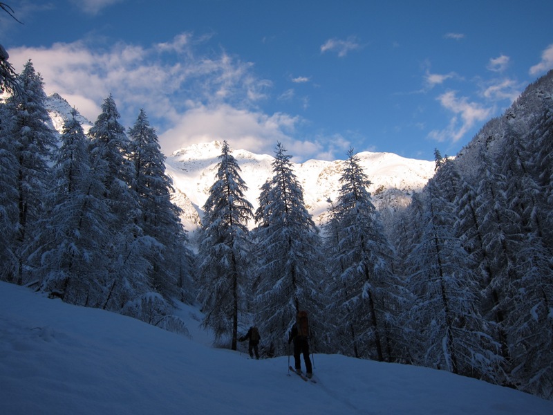 Vallon du Petit Tabuc : entrée dans la forêt enchantée