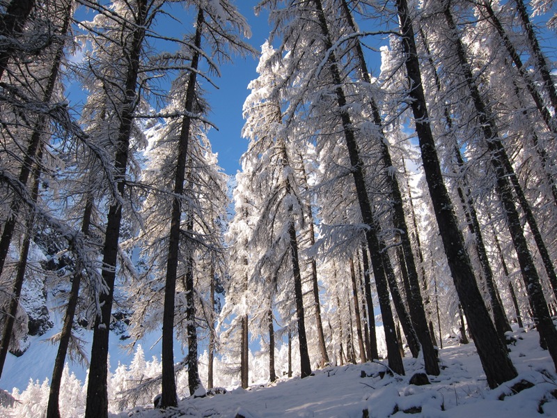 Vallon du Petit Tabuc : quelle ambiance