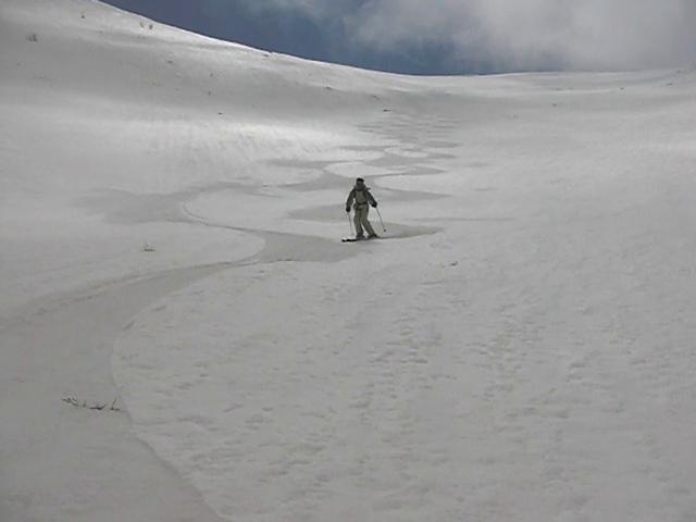 Pt Lattinicia Philou en action : vers 2000m dans la combe de Soliariccia , qui porte bien son nom, Philou croise mes traces en 8, un vrai régal!