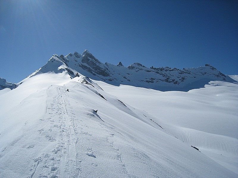 Sommet : Du col de Trièves, vue sur l'anté-cime 3300m (premier dôme neigeux au soleil) et l'itinéraire de montée.