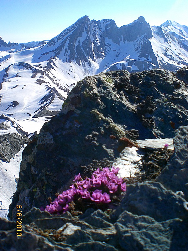Point 3033m : Pain de Sucre, Pic d'Asti et col d'Asti vus du sommet.