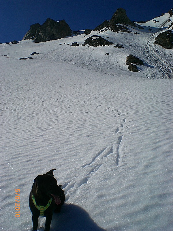 Point 3033m : Descente du versant Nord, seule la 1ère partie était bonne à skier.